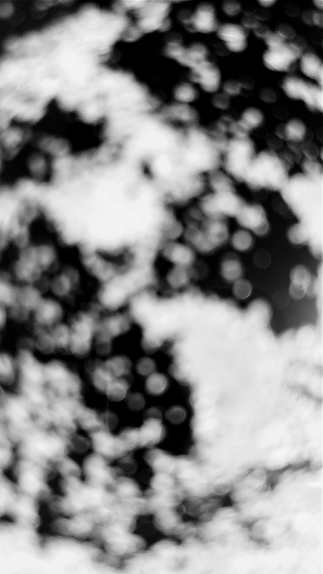 OLTRE IL CIELO - Momento 1