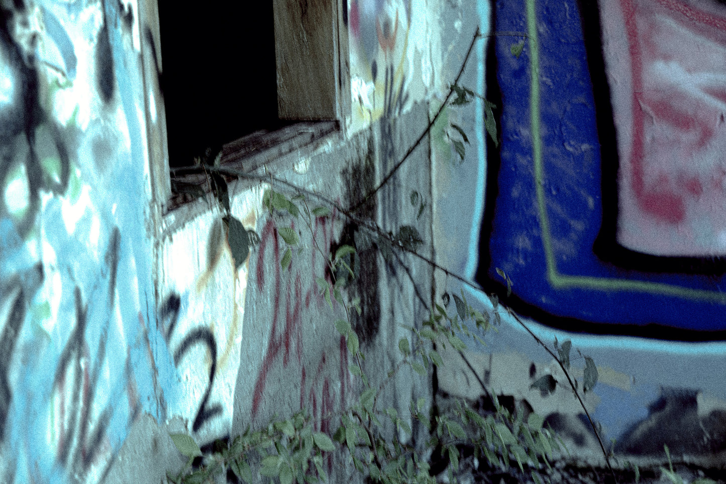 Track Series (1)