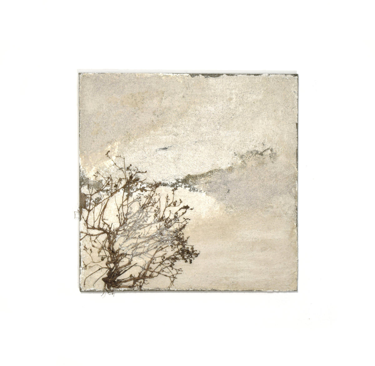Sedimenti del tempo