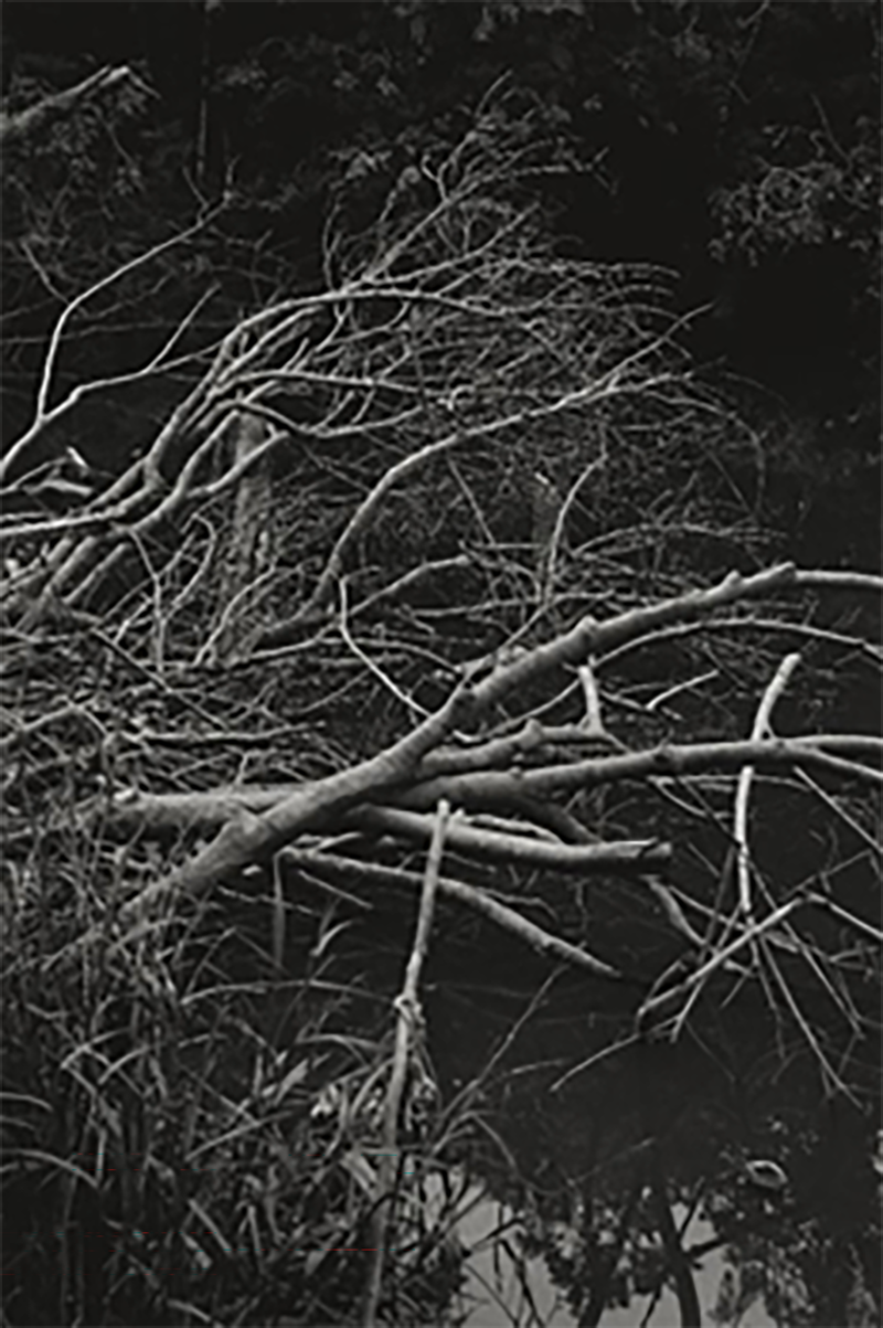 Untlited_3