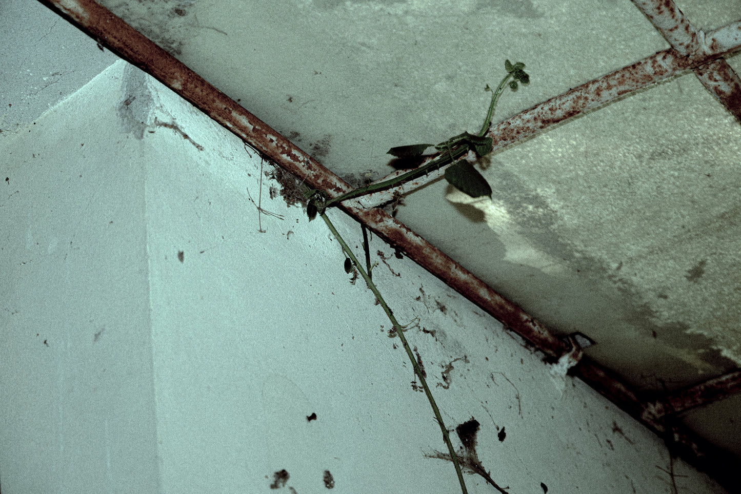 Track Series (2)