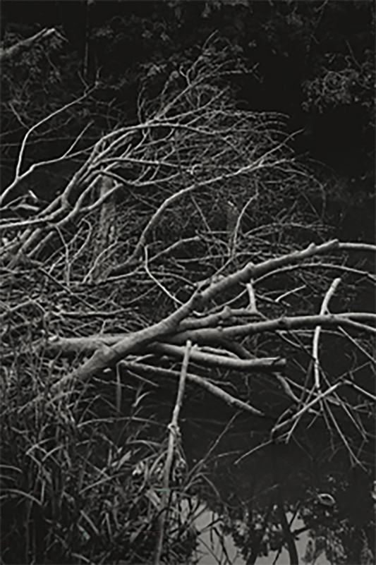 Untlited_3
